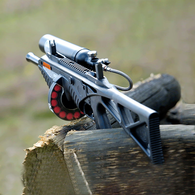 Model of FN® 303